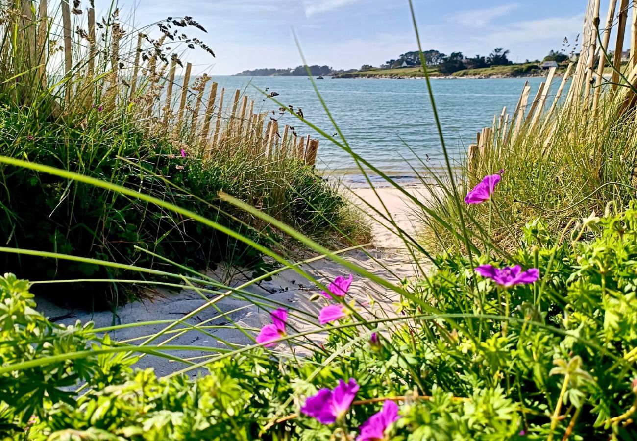 Huis in Plouguerneau - TI VENAN