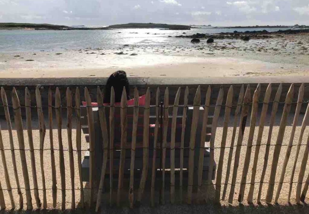 House in Plouguerneau - TI VENAN