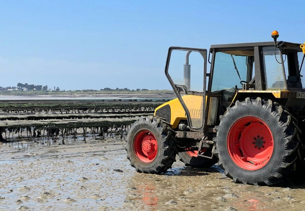 House in Plouguerneau - TI VENAN