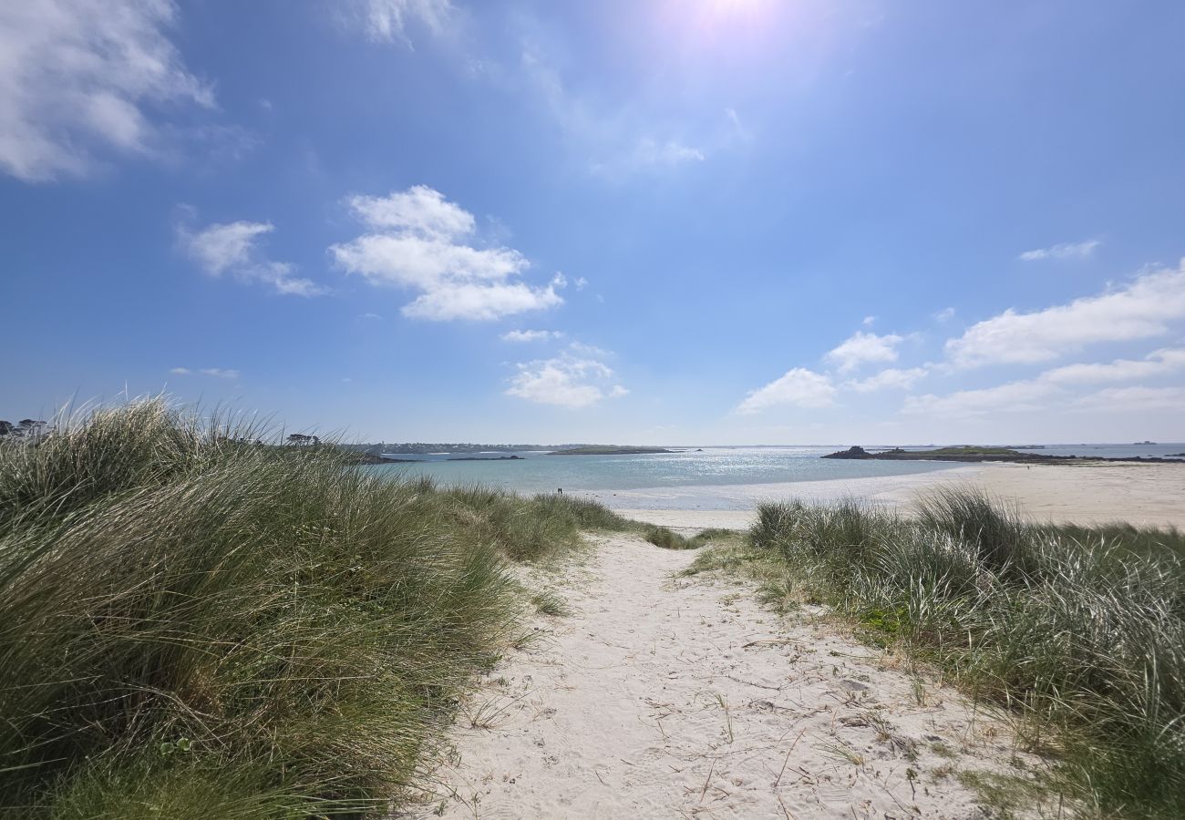 House in Plouguerneau - TI VENAN